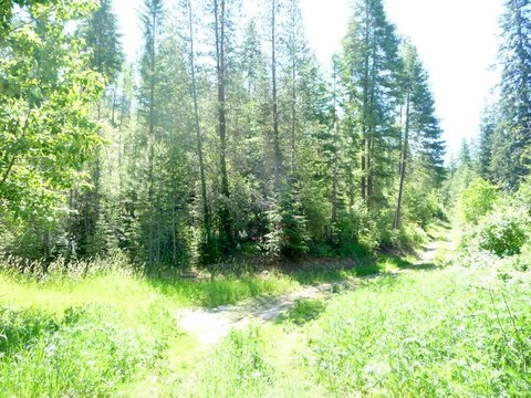 3232 Red Marble Road Chewelah, WA 99109 - Photo 8 of 10 Gallery Image 8