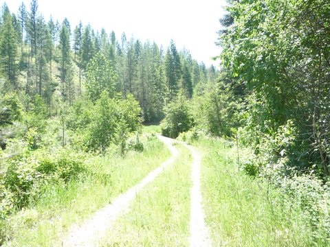 3232 Red Marble Road Chewelah, WA 99109 - Photo 9 of 10 Gallery Image 9