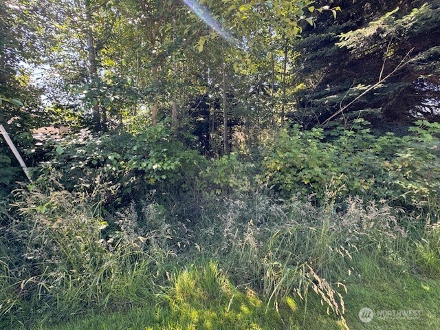 43 East Sycamore Road Coupeville, WA 98239 - Photo 3 of 3