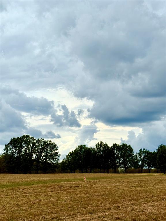 3811 Wills Point Wills Point, TX 75169 - Photo 3 of 4