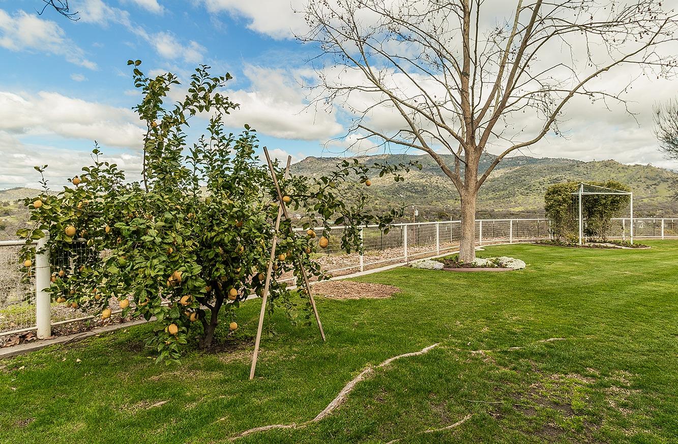 21777 Tollhouse Road Clovis, CA 93619 - Photo 73 of 99 a view of a house with a backyard