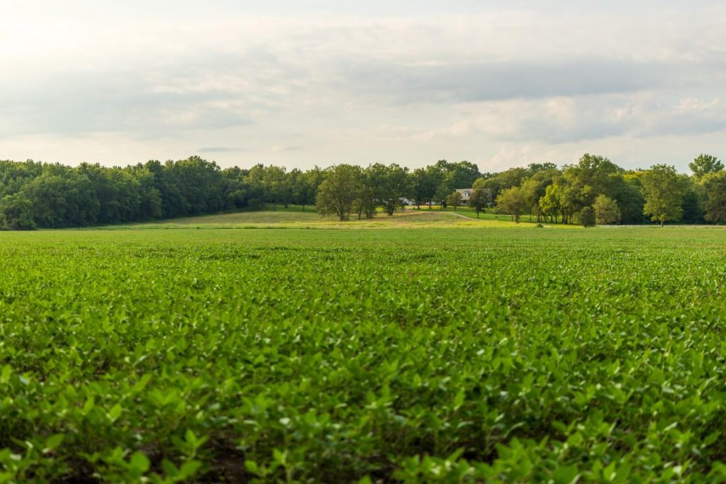 Tbd Northeast 500th Road Warrensburg, MO 64093 - Photo 25 of 40