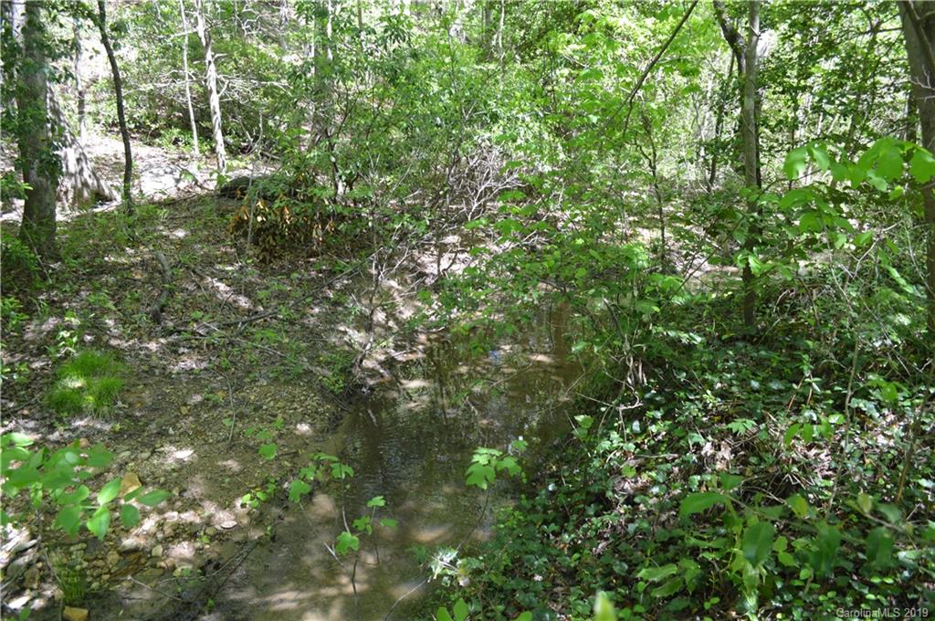 0 Dug Hill Road Tryon, NC 28782 - Photo 4 of 9