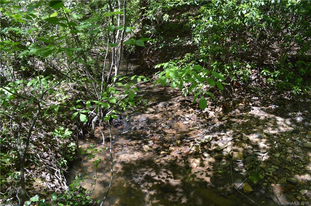 0 Dug Hill Road Tryon, NC 28782 - Photo 5 of 9