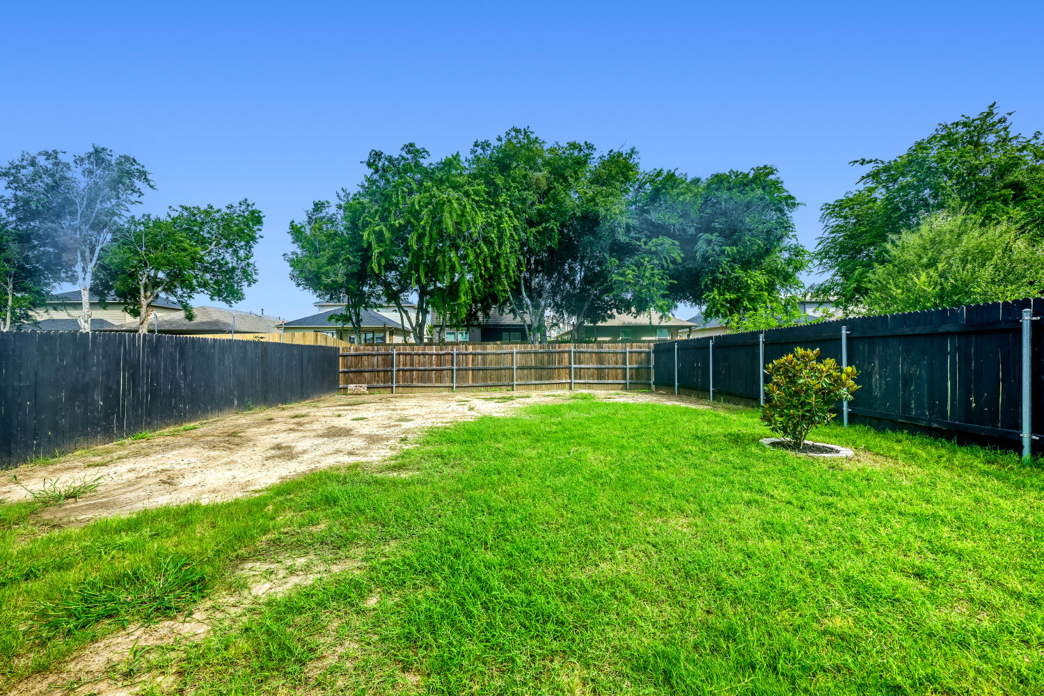 175 Gustaf Trail Kyle, TX 78640 - Photo 27 of 28 Large backyard