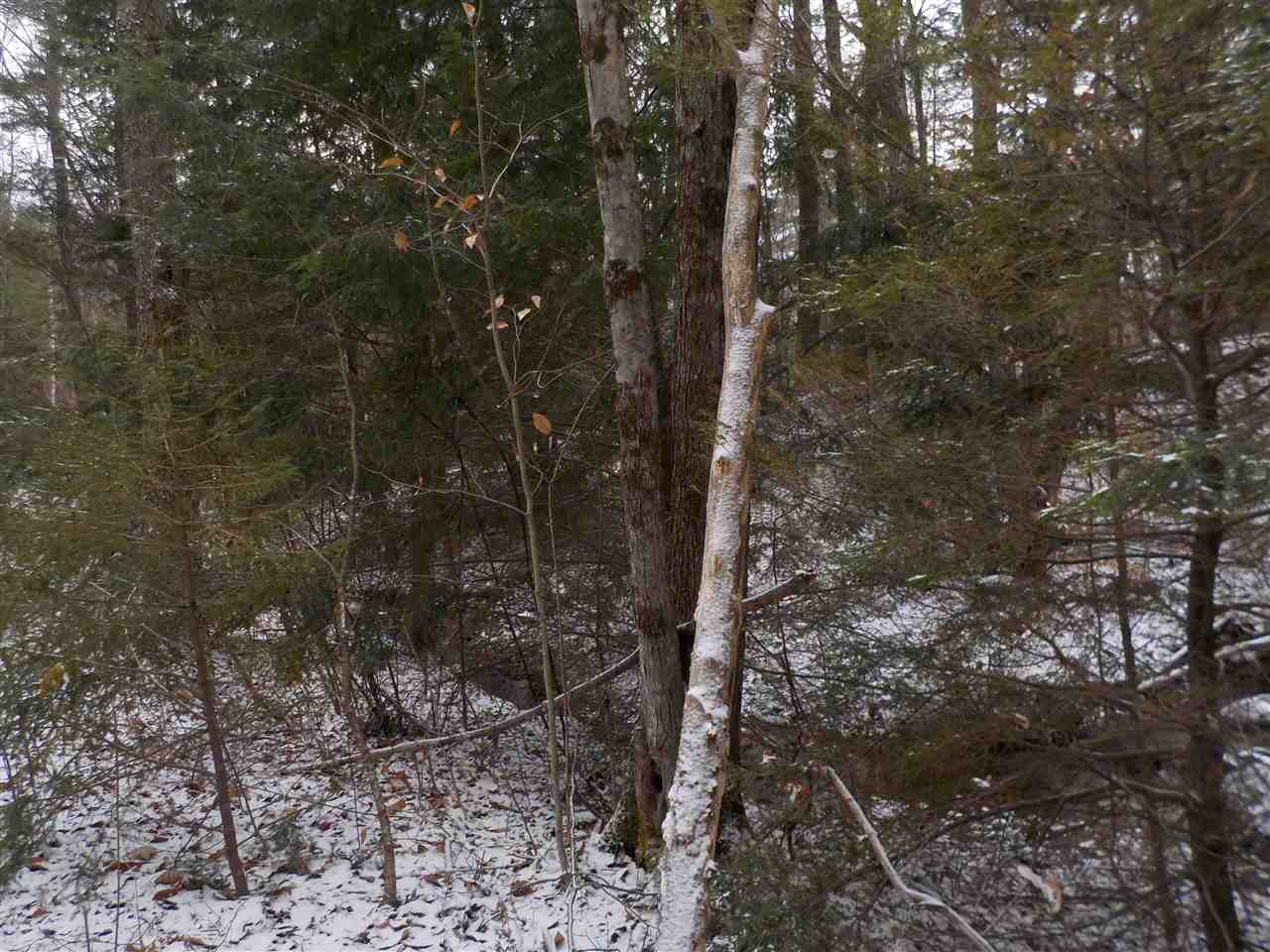 11 Springs Road Canaan, NH 03741 - Photo 24 of 24