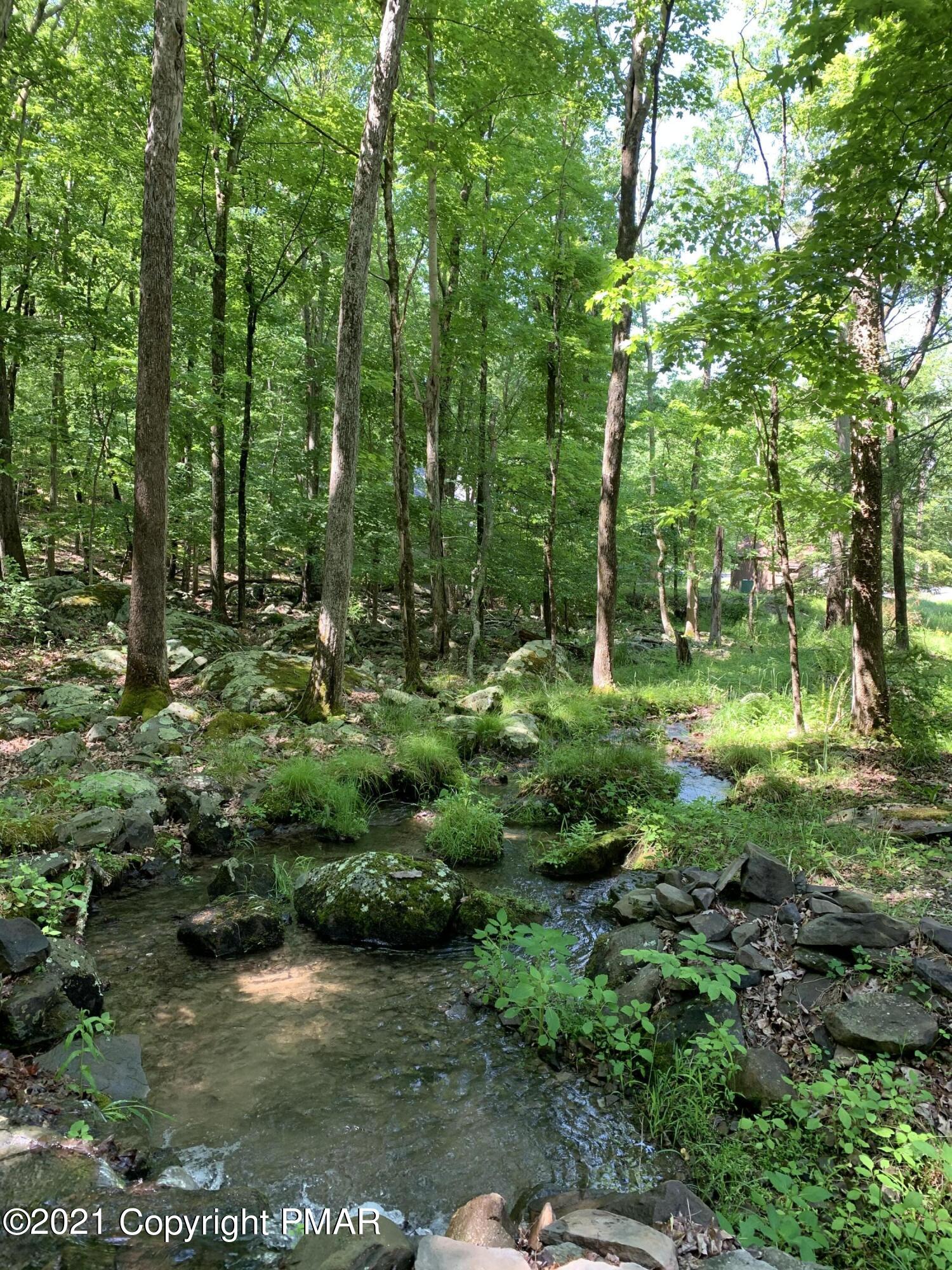 227 Canterbury Road Bushkill, PA 18324 - Photo 3 of 68 a big yard with lots of green space and deers
