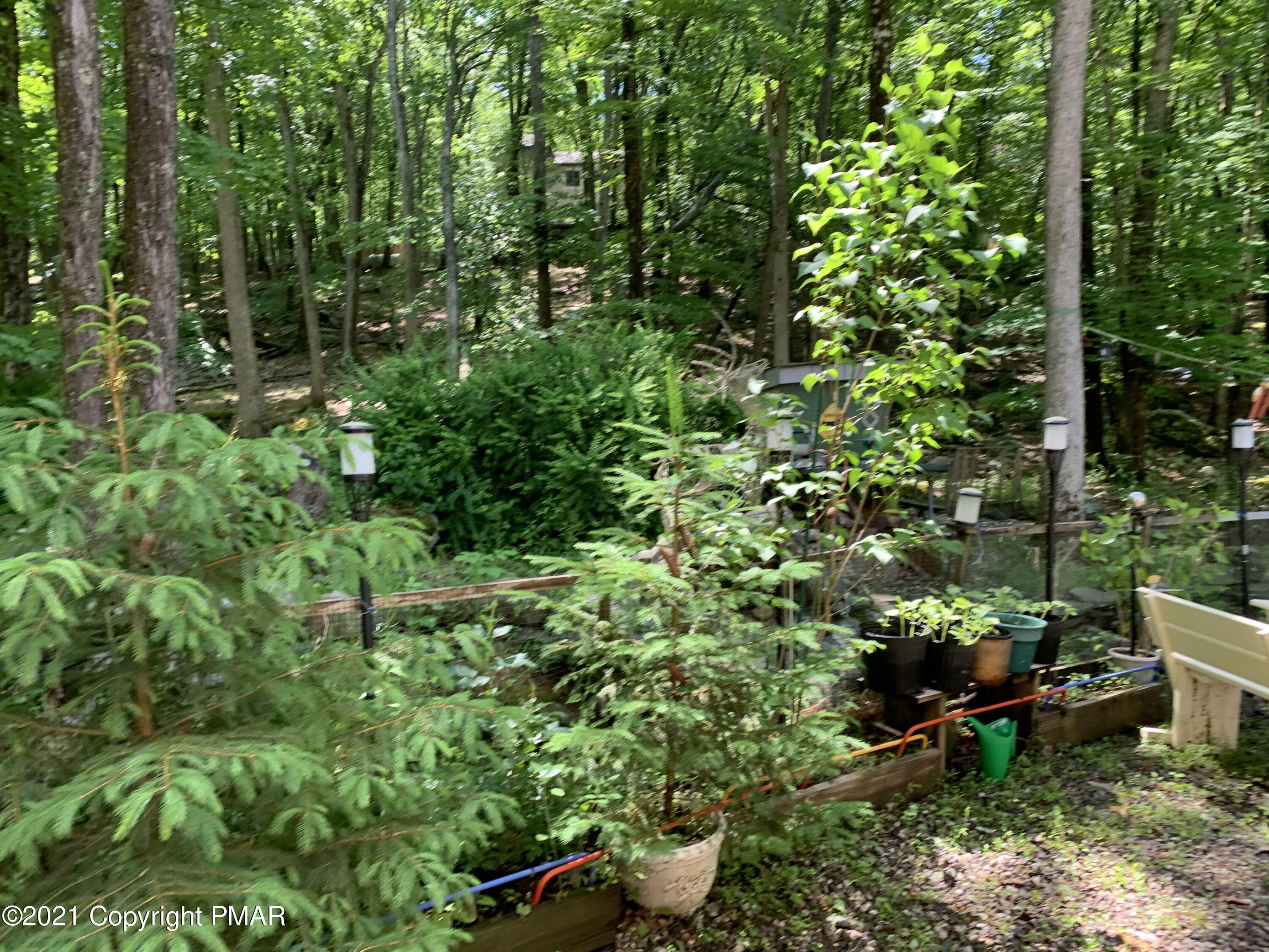 227 Canterbury Road Bushkill, PA 18324 - Photo 44 of 68 a backyard of a house with lots of green space and a fountain