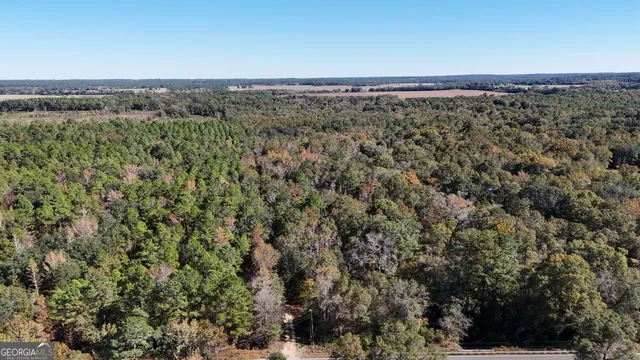 a view of a city with lush green forest