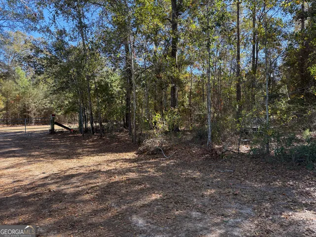 a view of a tree in the middle of a yard