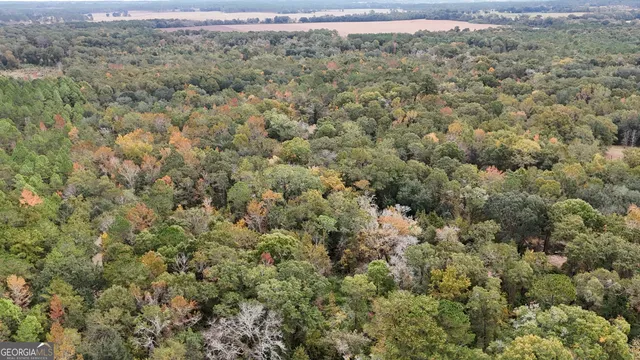 an aerial view of forest