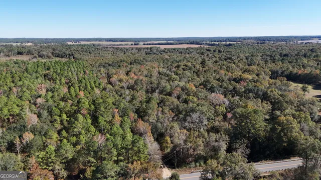 a view of a city with lush green forest