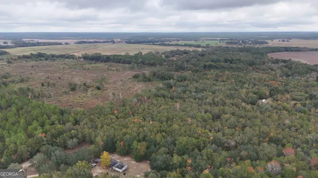 a view of a field with trees in background