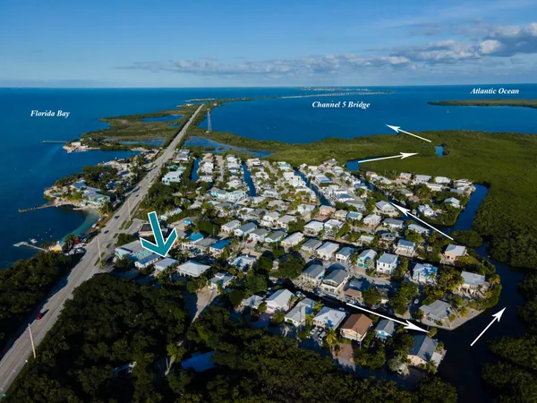 a view of a patio with table and chairs potted plants and palm tree