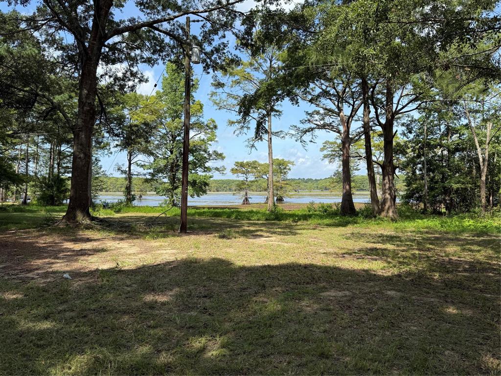 11756 Catfish Road Vivian, LA 71082 - Photo 5 of 15 View from yard