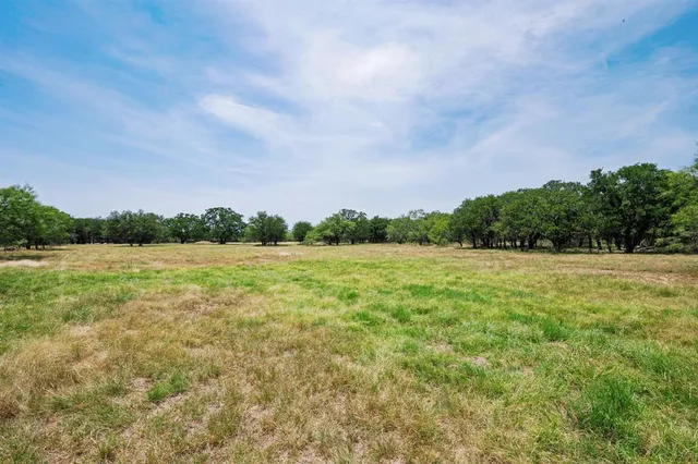 a view of backyard with green space