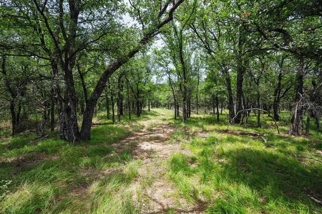 a view of outdoor space with trees all around