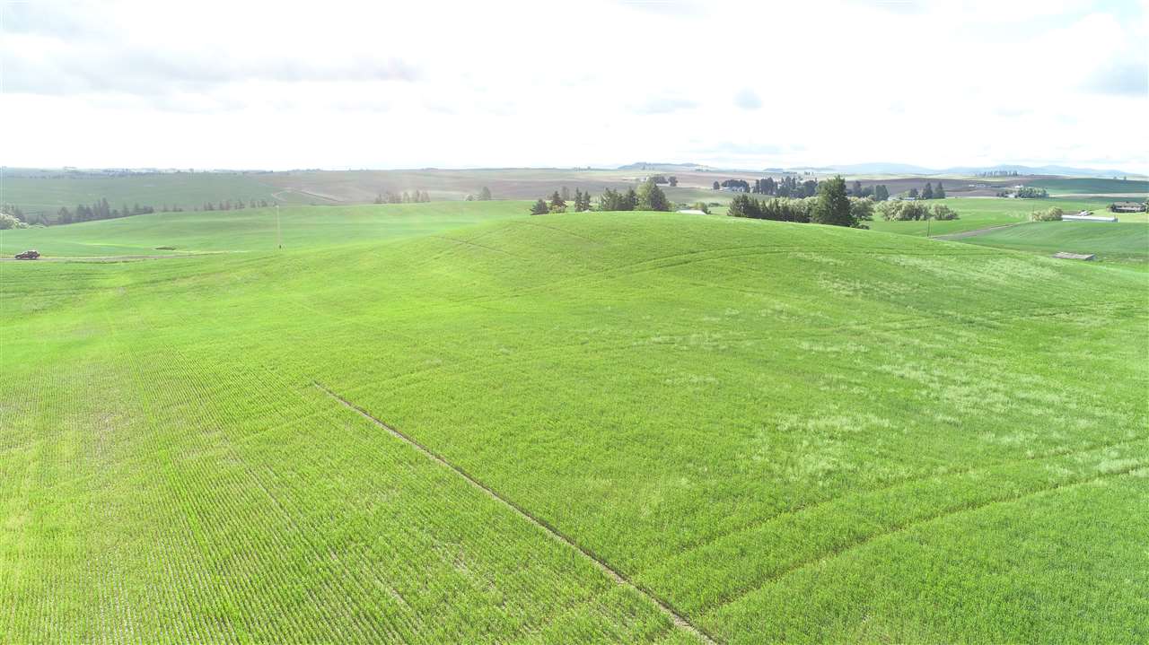 Nna South Arnold Road Fairfield, WA 99012 - Photo 2 of 9