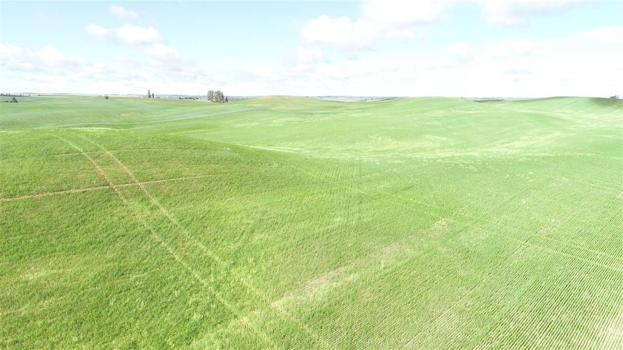Nna South Arnold Road Fairfield, WA 99012 - Photo 3 of 9