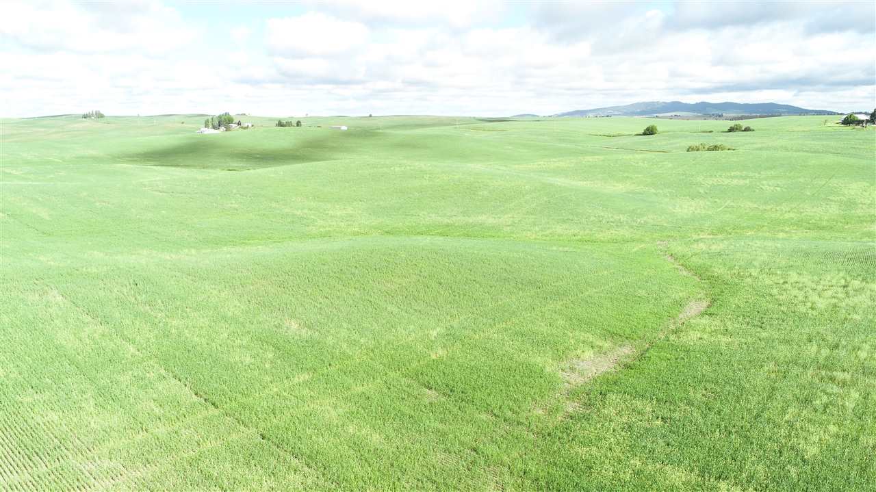 Nna South Arnold Road Fairfield, WA 99012 - Photo 4 of 9