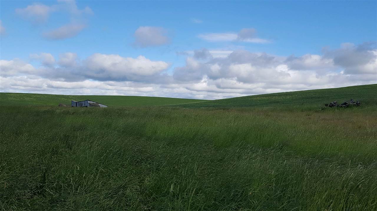Nna South Arnold Road Fairfield, WA 99012 - Photo 5 of 9
