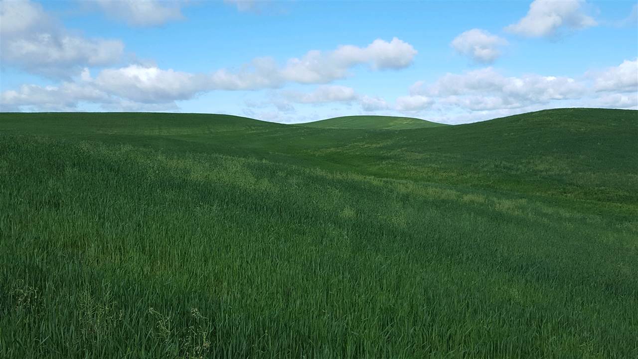 Nna South Arnold Road Fairfield, WA 99012 - Photo 6 of 9