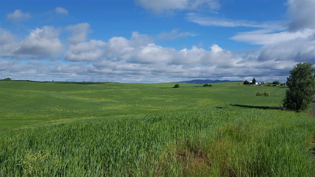 Nna South Arnold Road Fairfield, WA 99012 - Photo 7 of 9