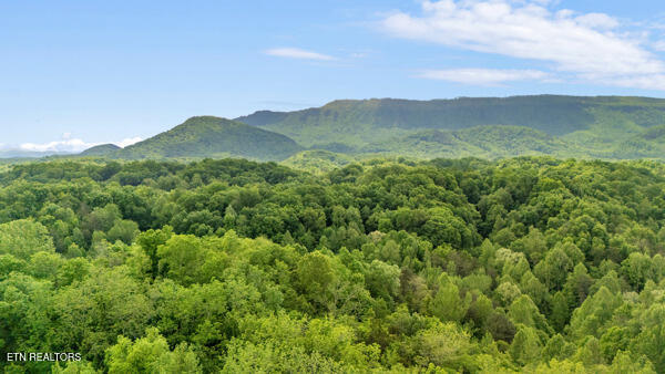South Rogers Road Seymour, TN 37865 - Photo 11 of 33 Drone 8