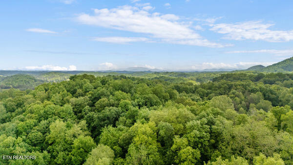 South Rogers Road Seymour, TN 37865 - Photo 12 of 33 Drone 9