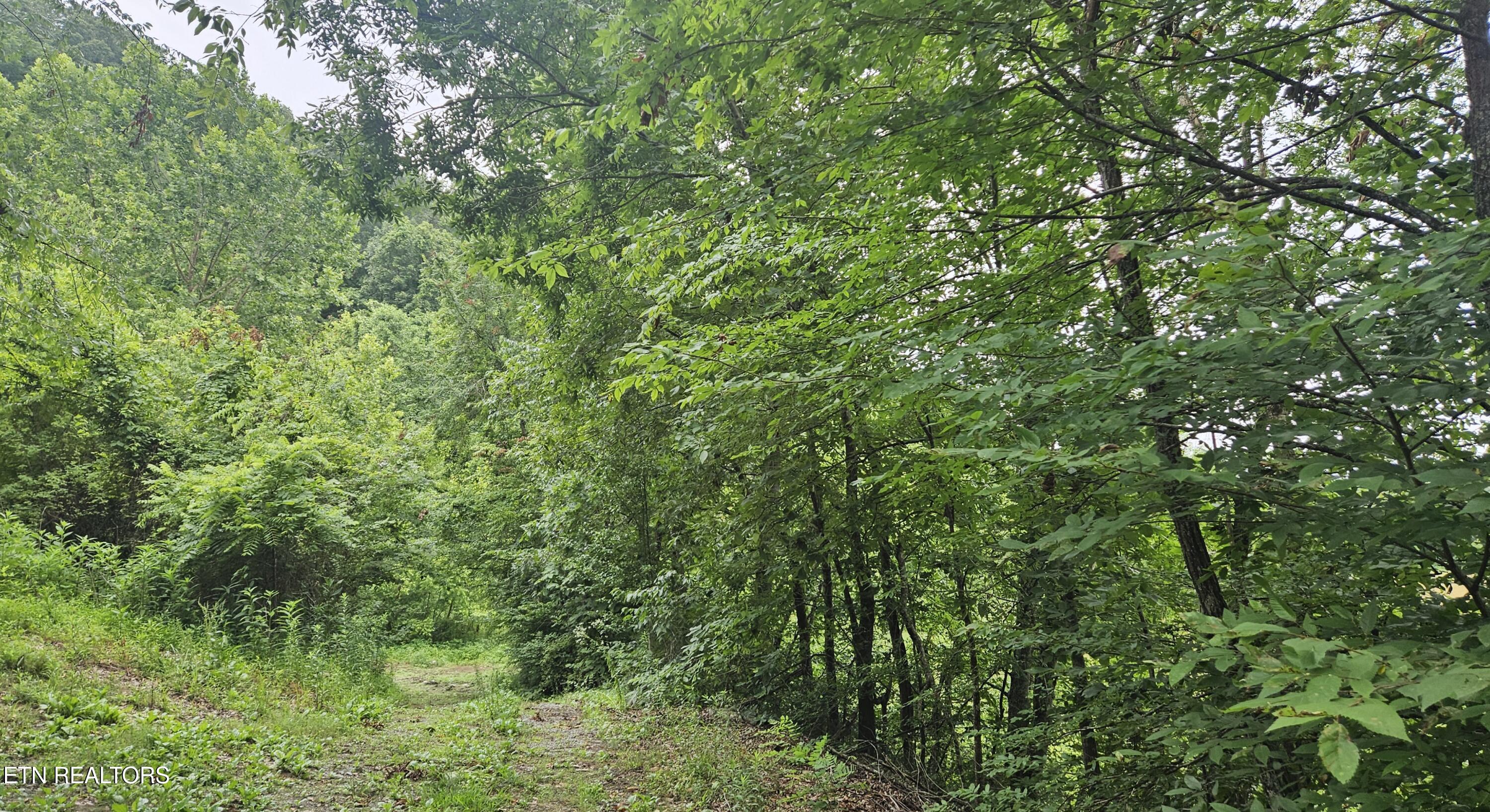 South Rogers Road Seymour, TN 37865 - Photo 16 of 33 20250618_114955