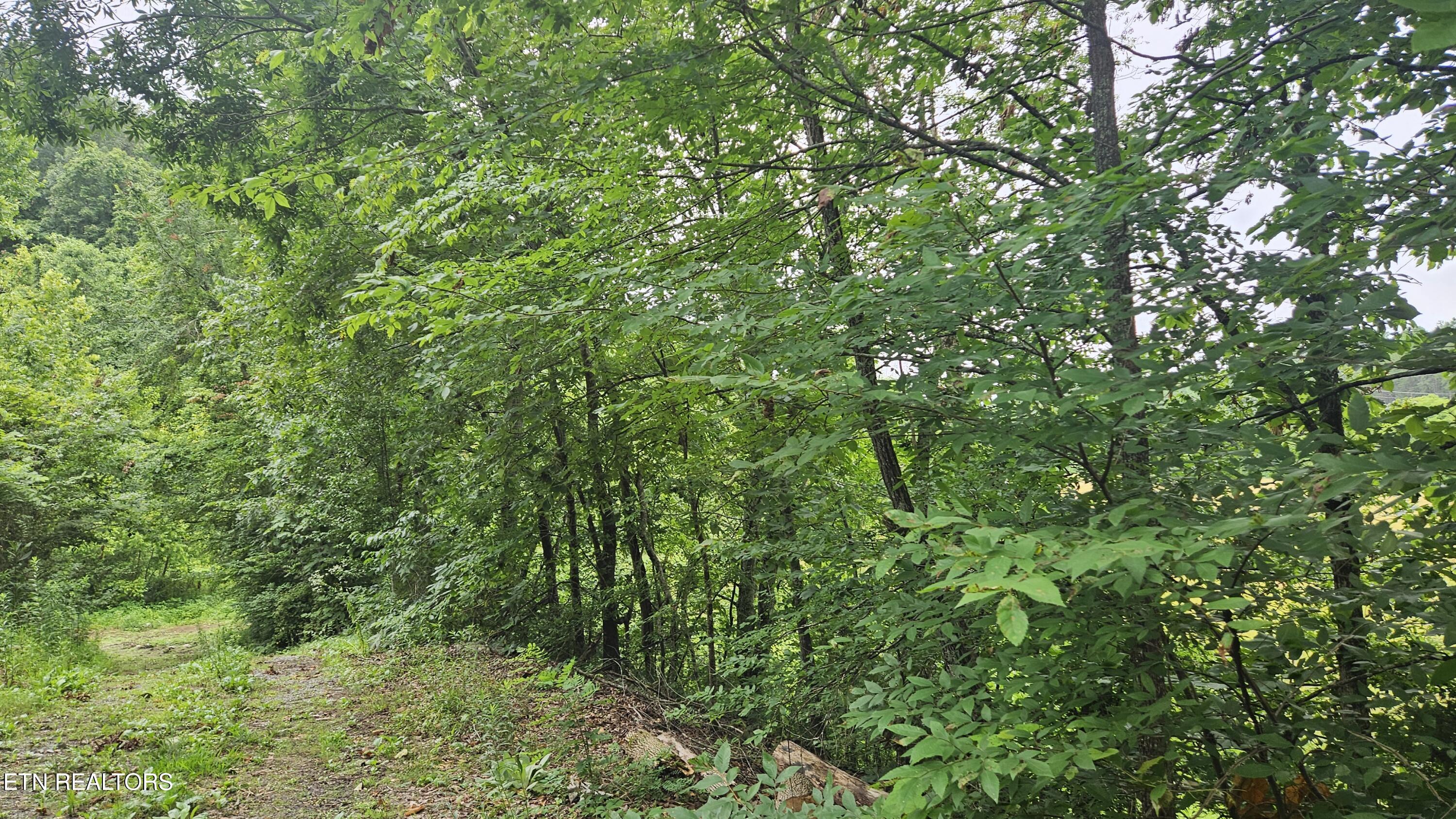 South Rogers Road Seymour, TN 37865 - Photo 17 of 33 20250618_114956