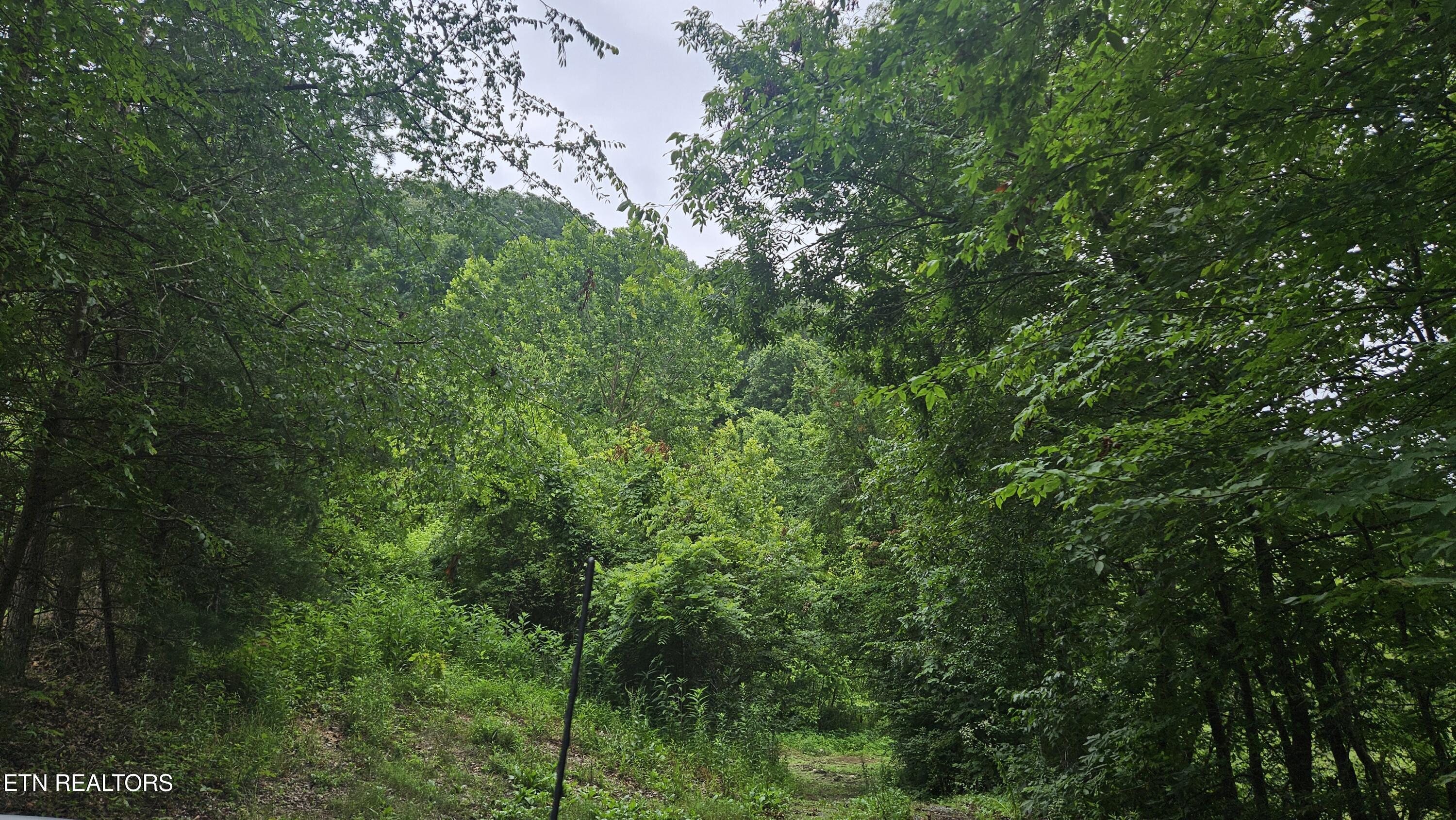 South Rogers Road Seymour, TN 37865 - Photo 18 of 33 20250618_114958