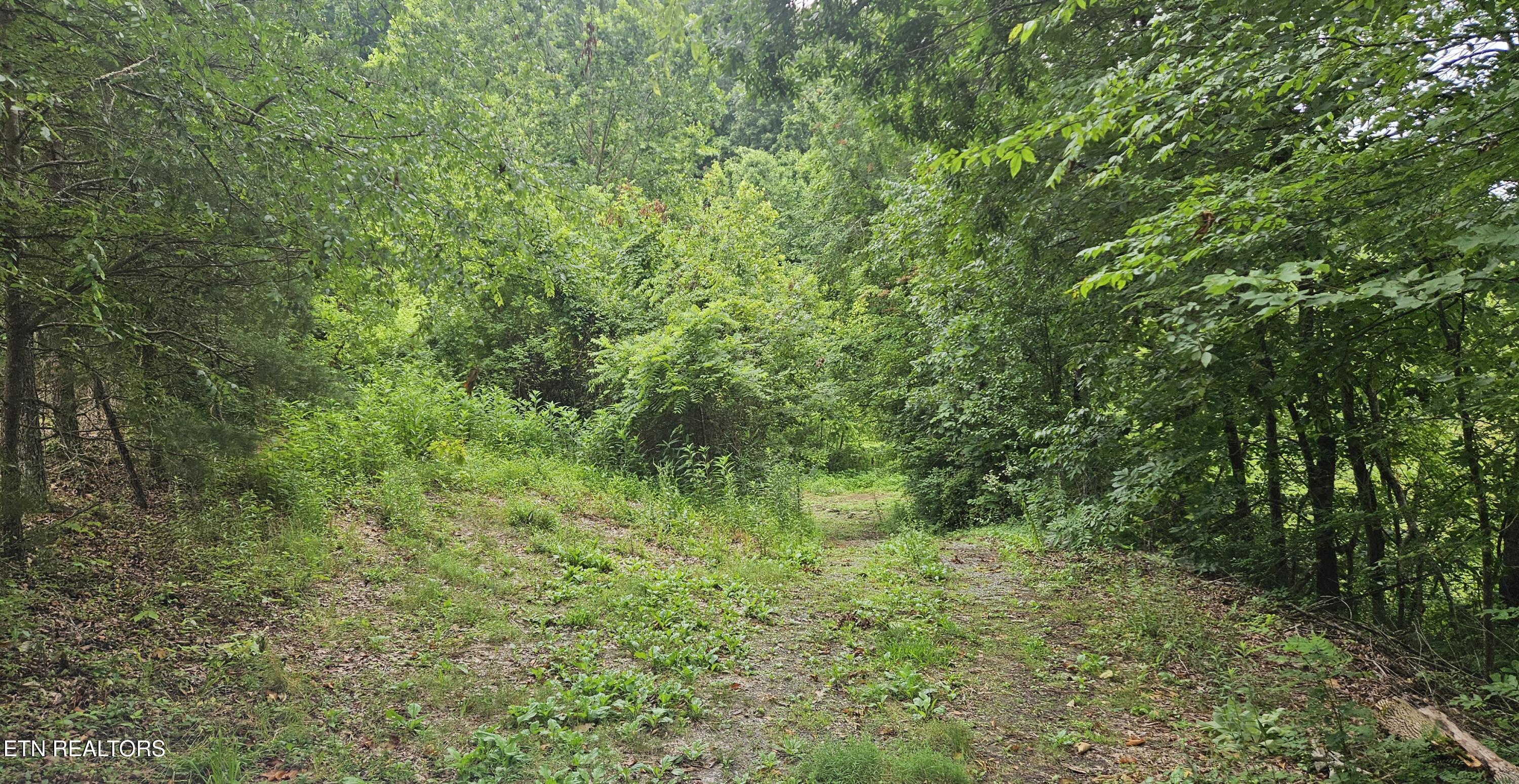 South Rogers Road Seymour, TN 37865 - Photo 19 of 33 20250618_115014