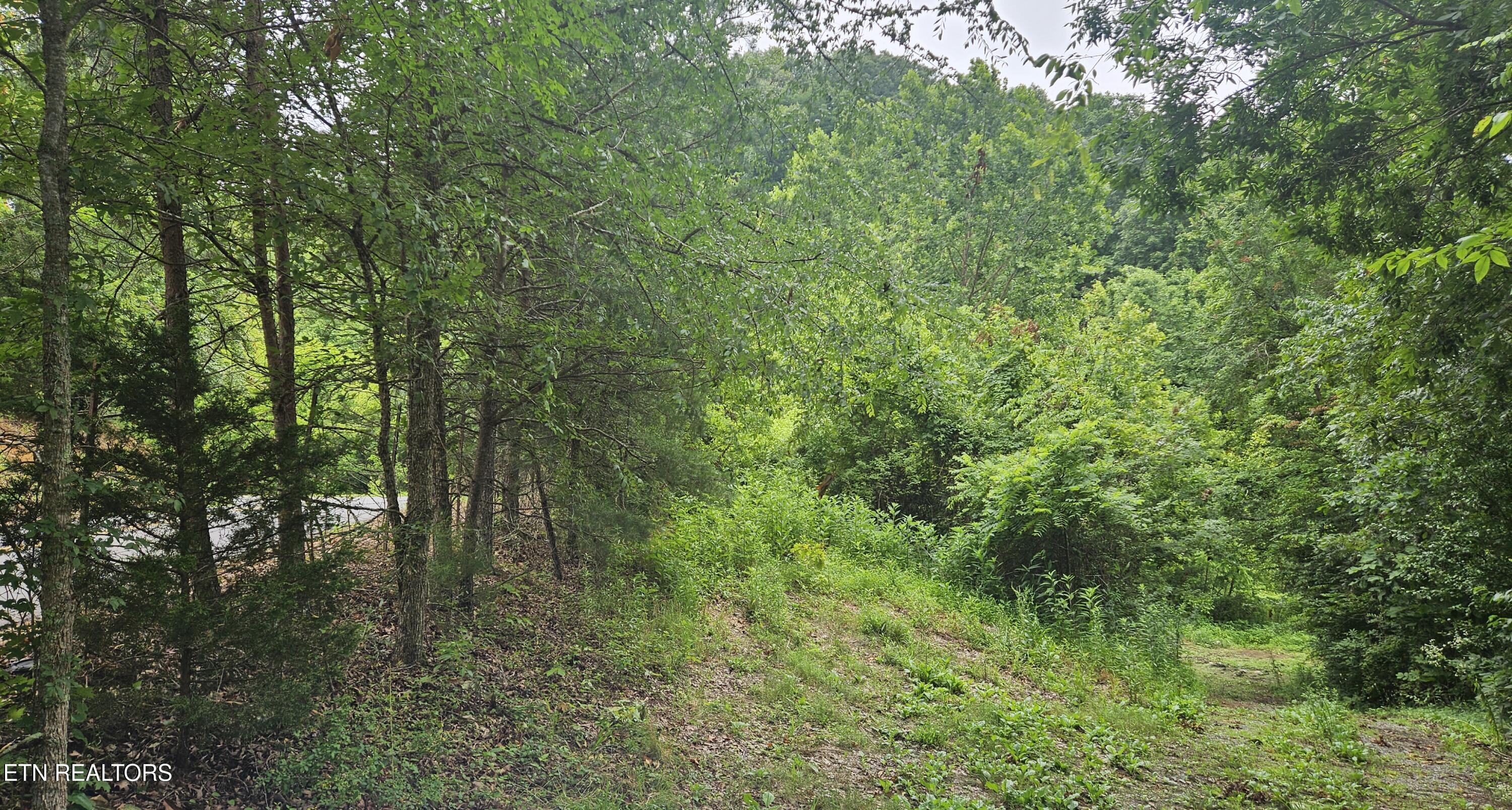 South Rogers Road Seymour, TN 37865 - Photo 20 of 33 20250618_115016