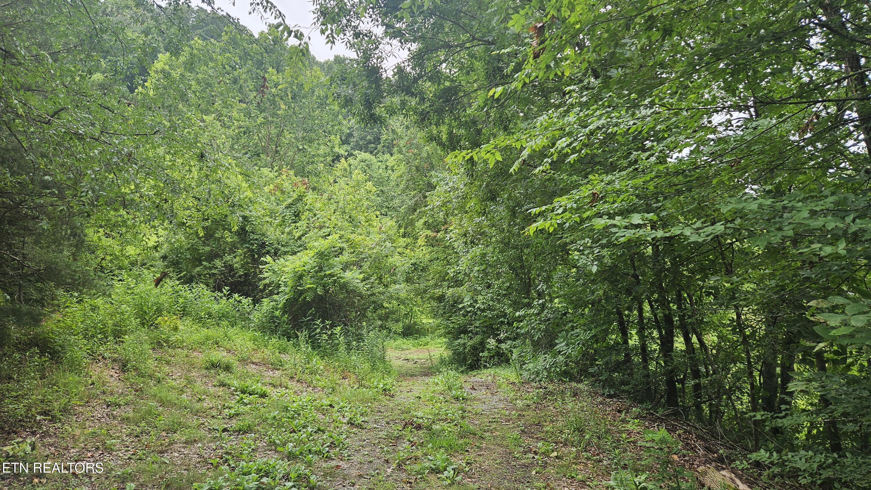 South Rogers Road Seymour, TN 37865 - Photo 21 of 33 20250618_115018