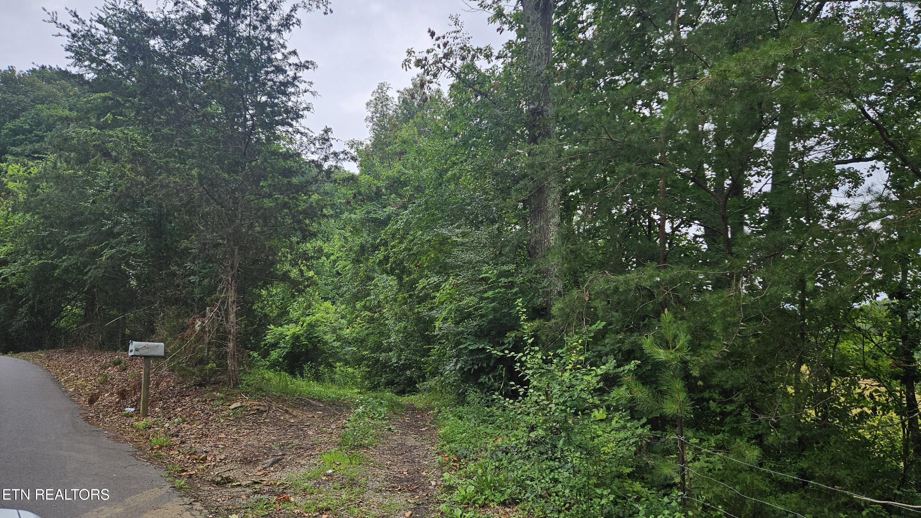 South Rogers Road Seymour, TN 37865 - Photo 22 of 33 20250618_115045