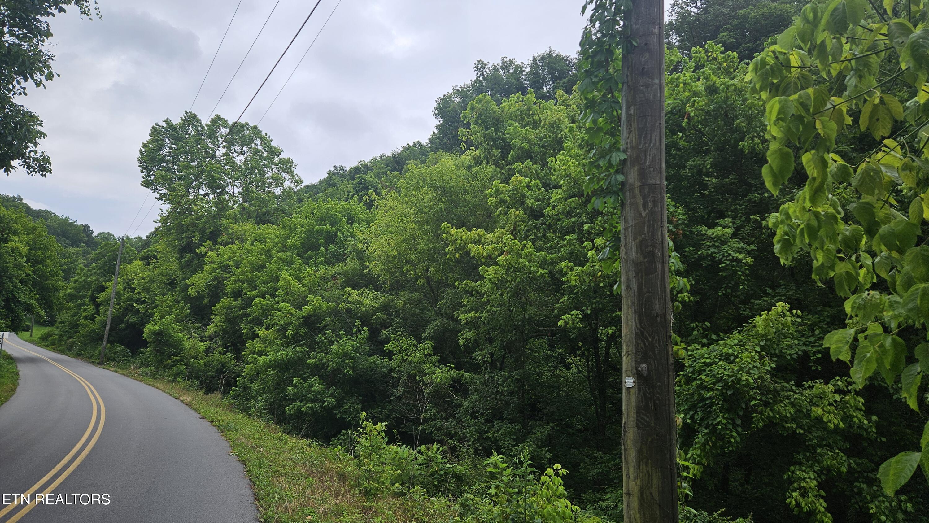 South Rogers Road Seymour, TN 37865 - Photo 23 of 33 20250618_115107