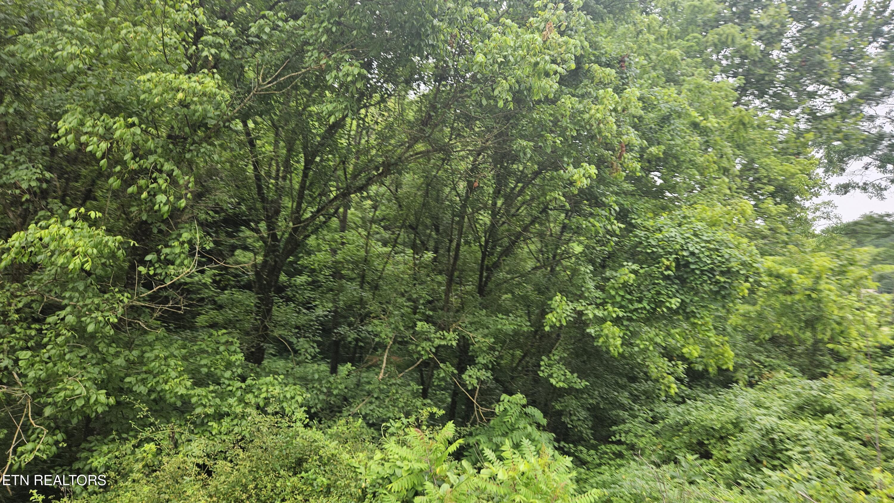 South Rogers Road Seymour, TN 37865 - Photo 24 of 33 20250618_115113