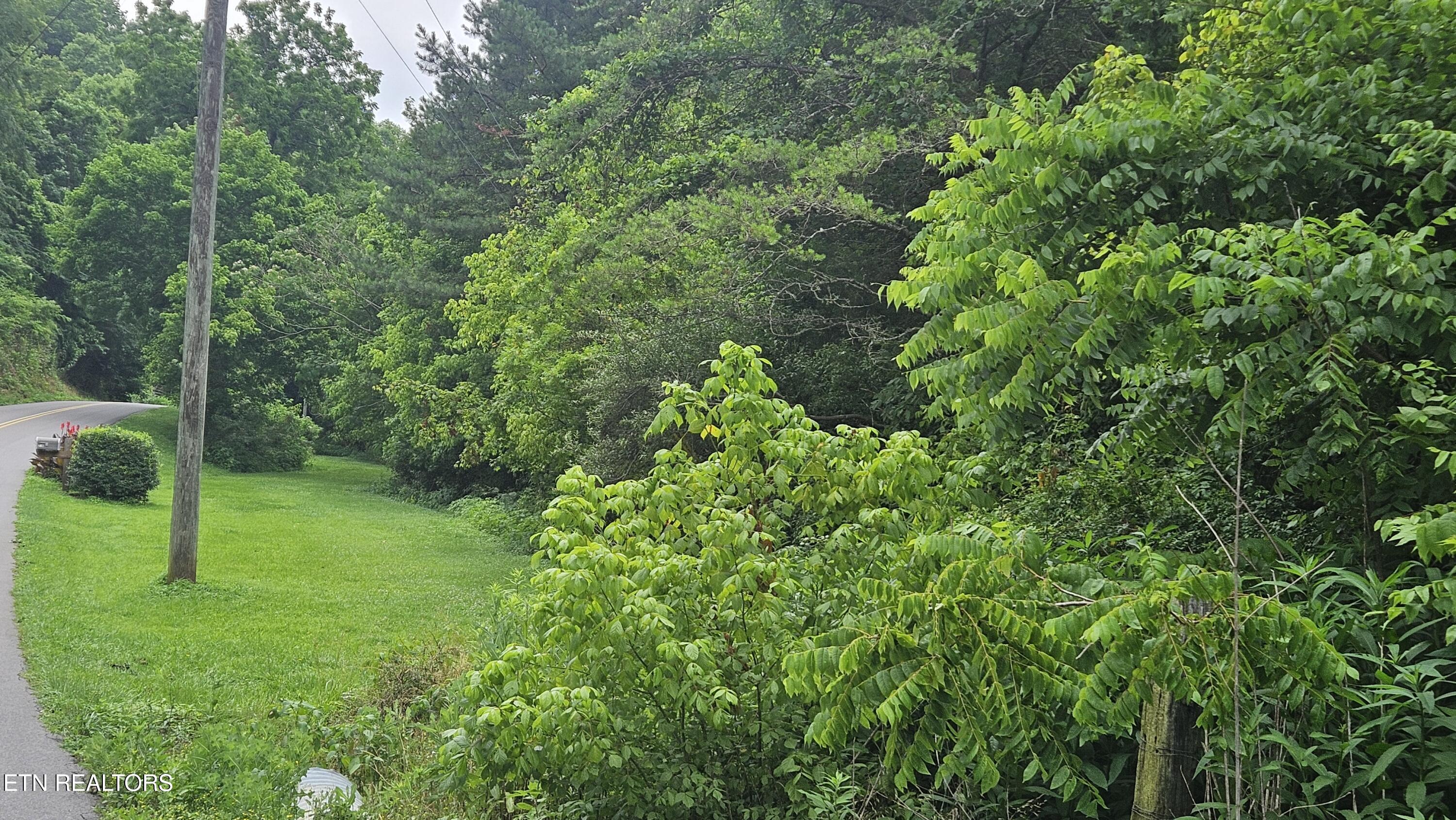 South Rogers Road Seymour, TN 37865 - Photo 26 of 33 20250618_115139