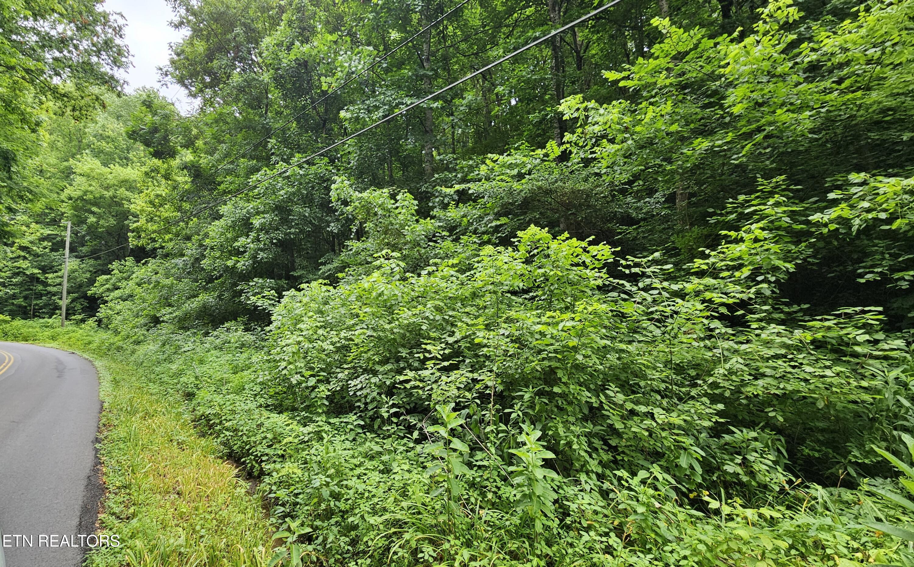 South Rogers Road Seymour, TN 37865 - Photo 28 of 33 20250618_115229