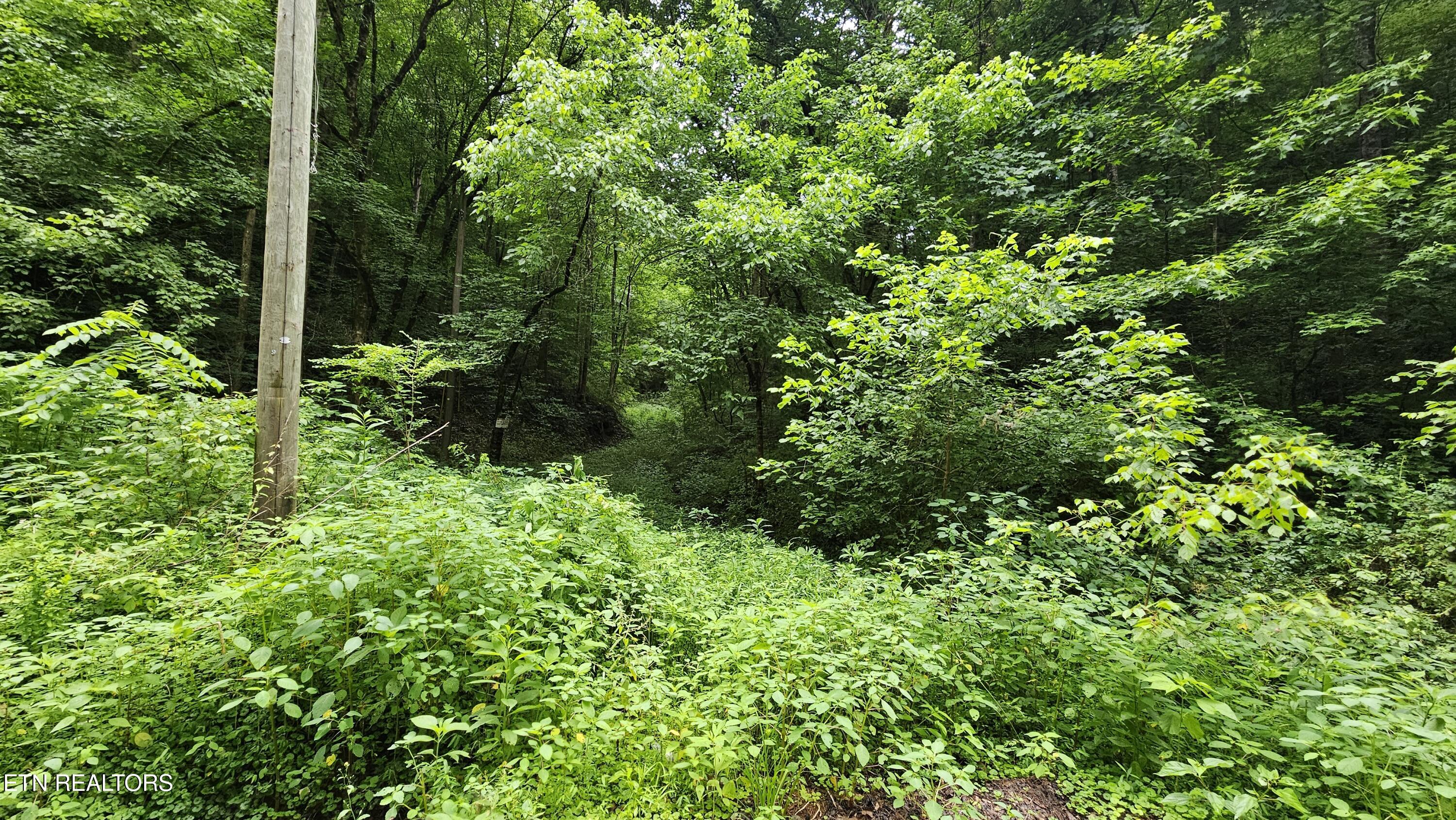 South Rogers Road Seymour, TN 37865 - Photo 29 of 33 20250618_115245