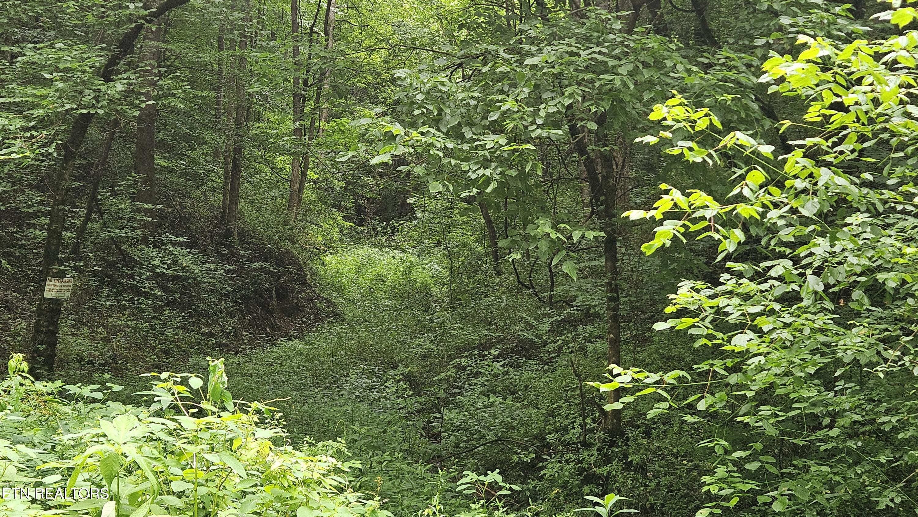 South Rogers Road Seymour, TN 37865 - Photo 30 of 33 20250618_115249