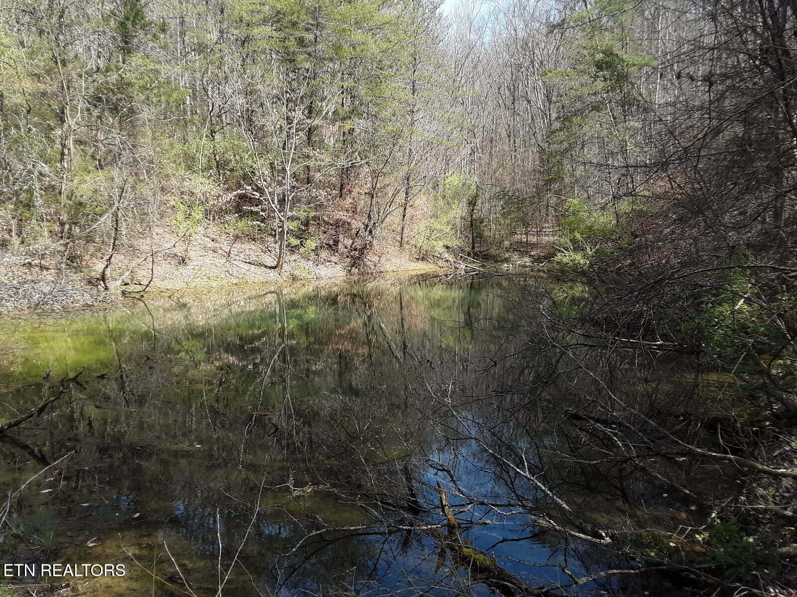 South Rogers Road Seymour, TN 37865 - Photo 33 of 33 Pond