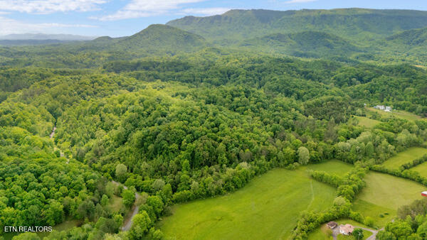 South Rogers Road Seymour, TN 37865 - Photo 7 of 33 Drone 4