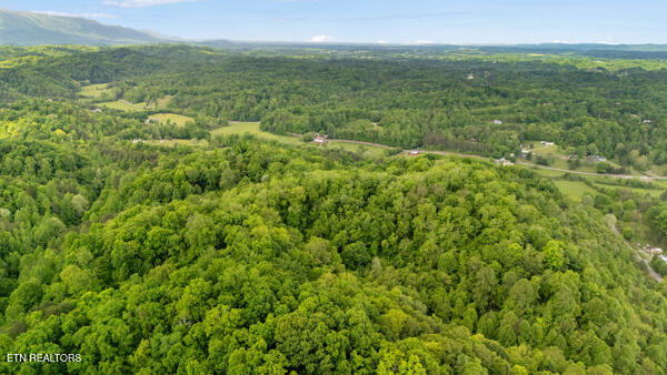 South Rogers Road Seymour, TN 37865 - Photo 9 of 33 Drone 6