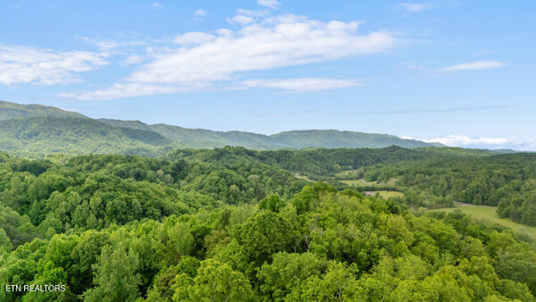 South Rogers Road Seymour, TN 37865 - Photo 10 of 33 Drone 7