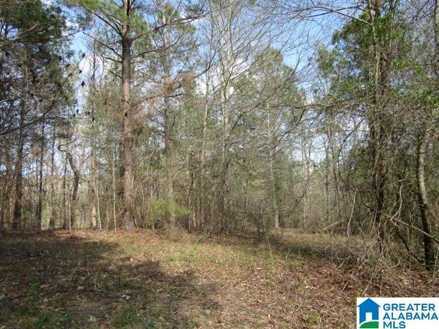 229 County Road, Unit 29 Thorsby, AL 35171 - Photo 21 of 23