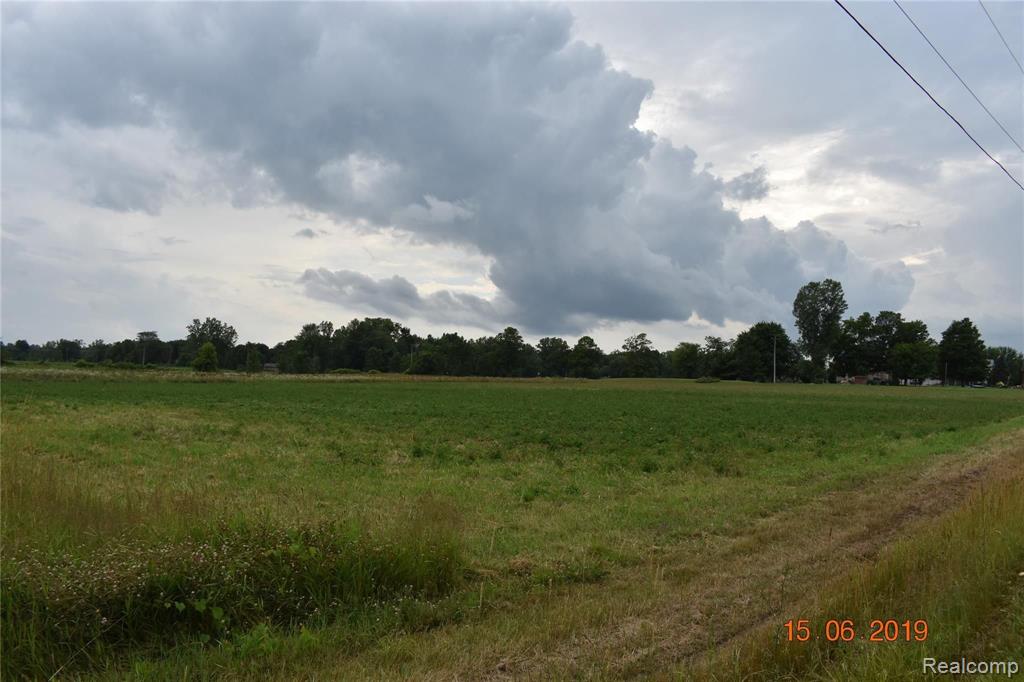Parcel D & E Parcel D & E Daley Road Lapeer, MI 48446 - Photo 2 of 2