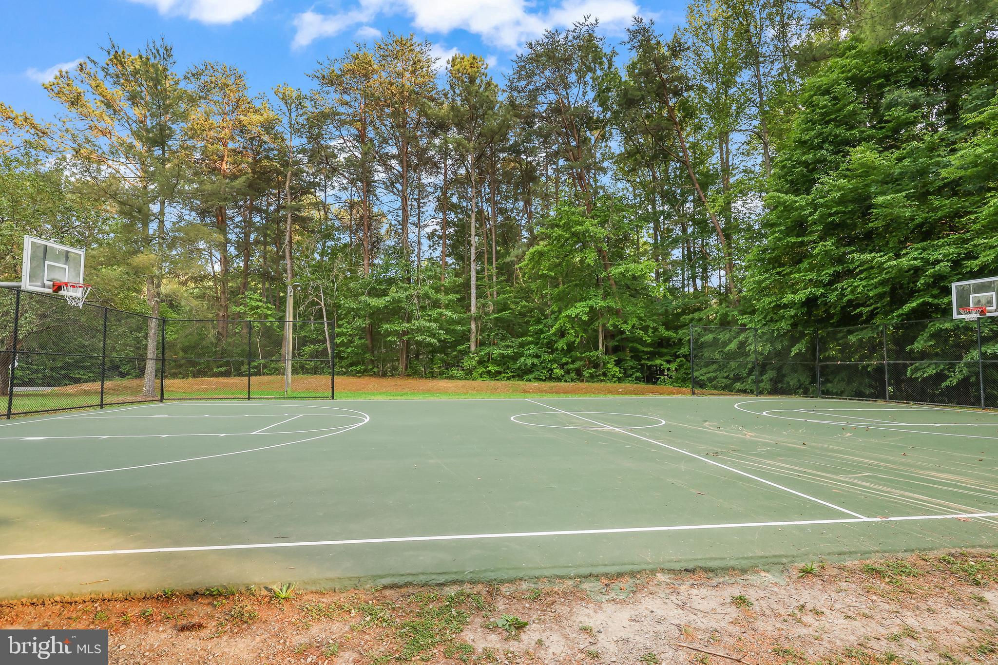 209 Estate Drive Ruther Glen, VA 22546 - Photo 45 of 53