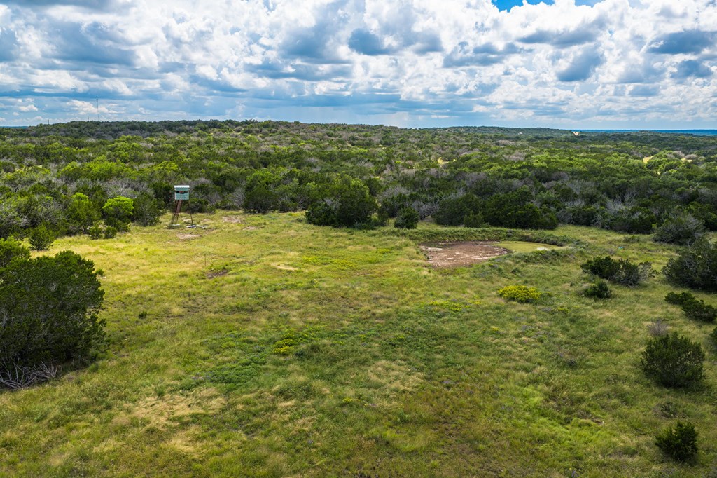 0 Jackson Ranch Rocksprings, TX 78880 - Photo 6 of 27
